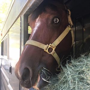 Meet your Posher, Diane